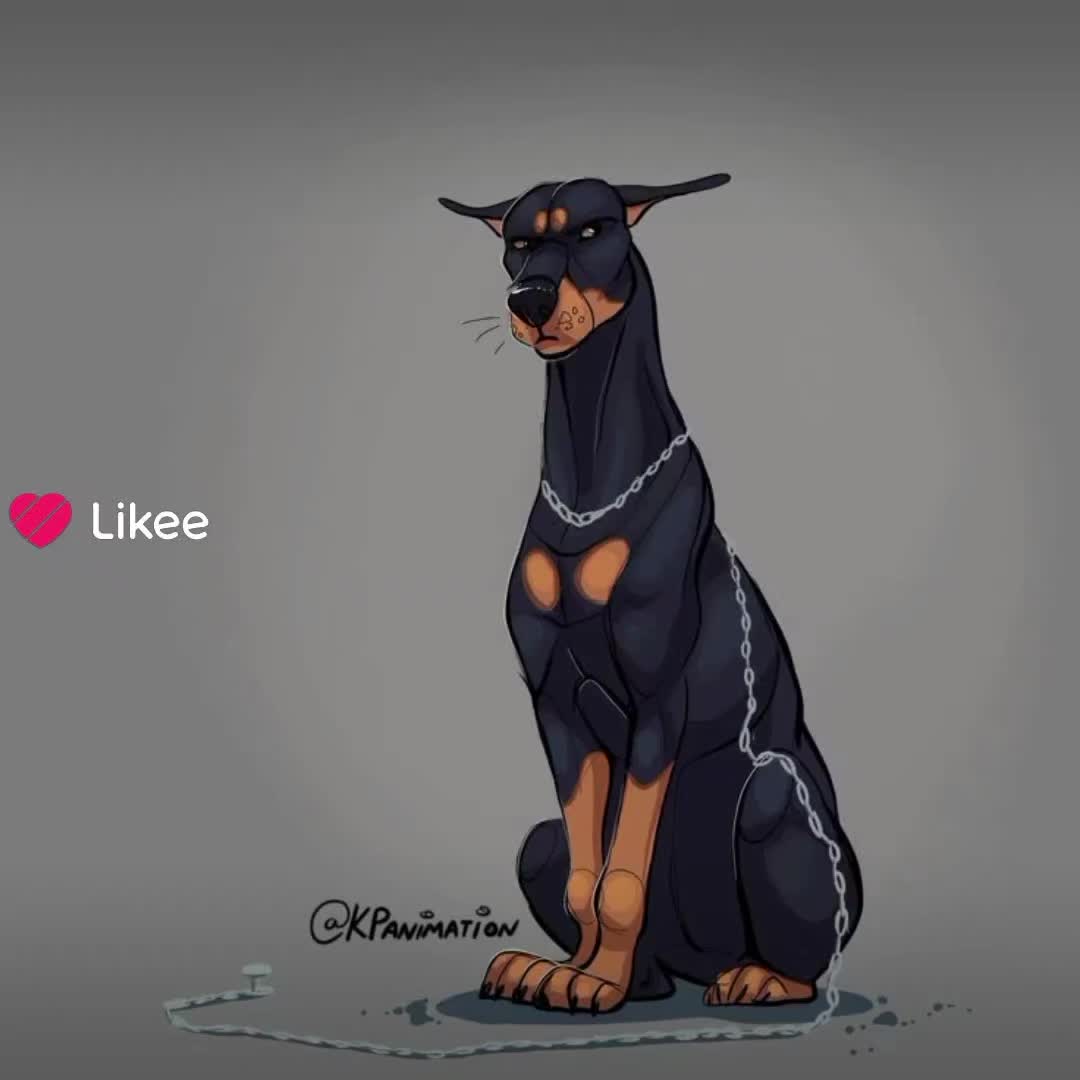 @🐾доберман бруно🐾
