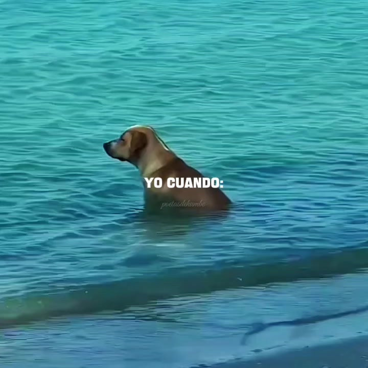 @poetasdehumbe