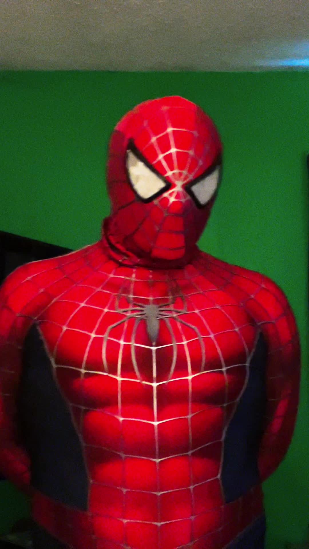 @THE Tobey Maguire Spider-Man