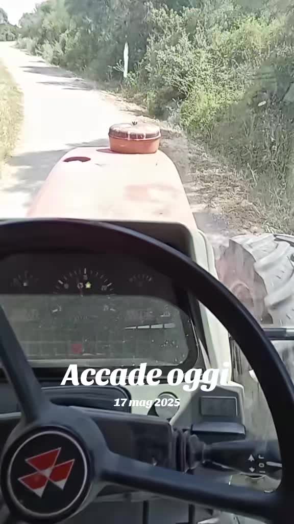 @Franziscu82