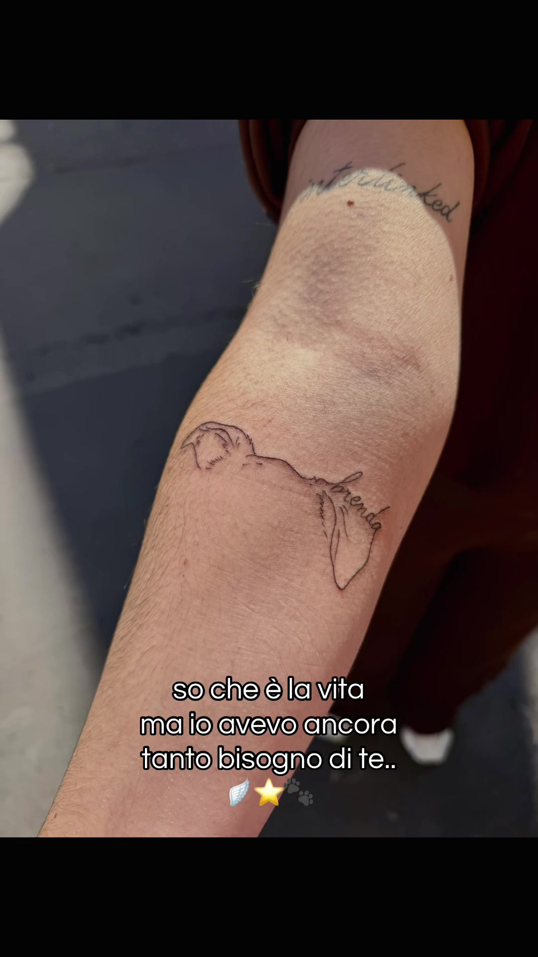 @𝓖𝓒