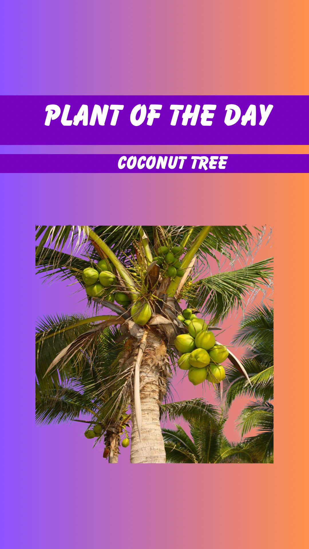 @Oils_for_Every_Family