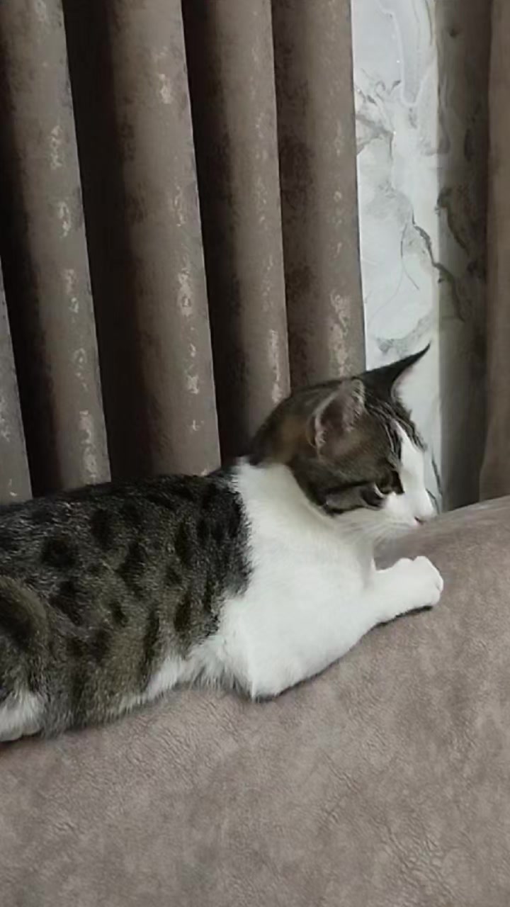 @miniş