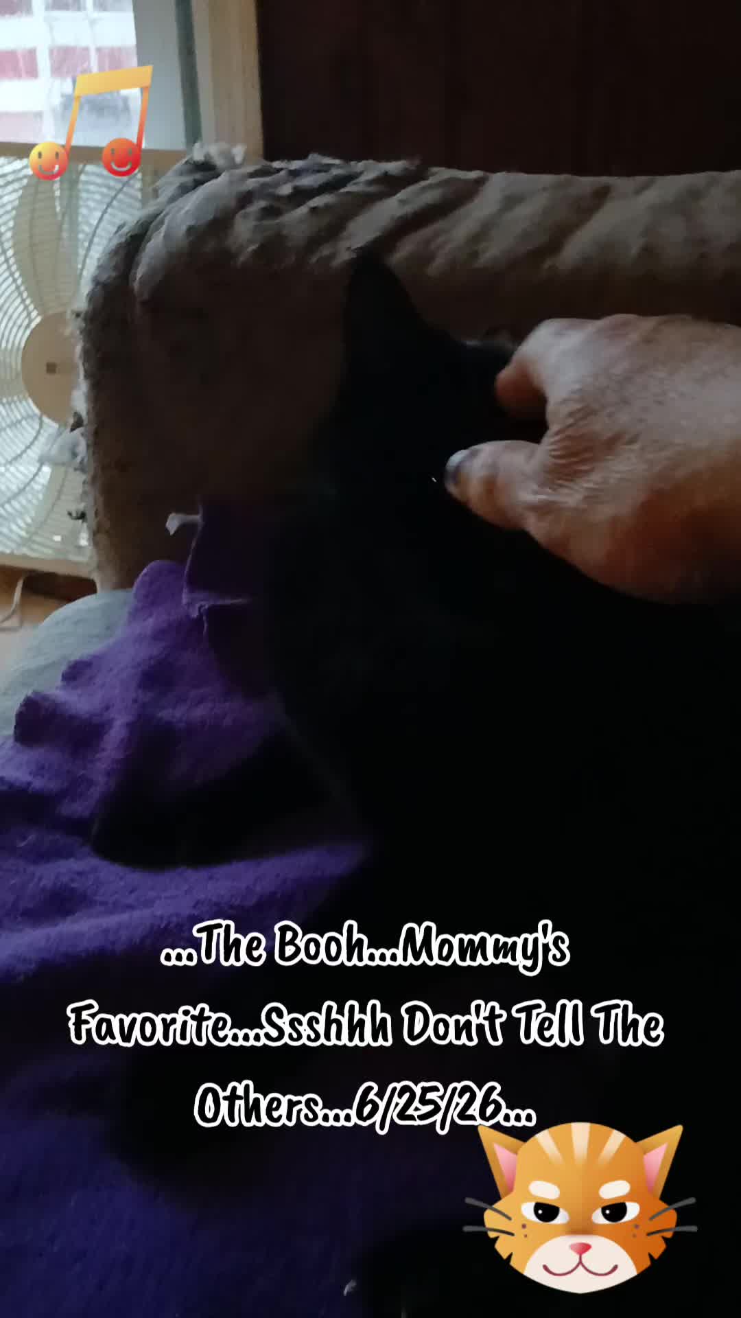 @Booh Hovey crazycatlady3