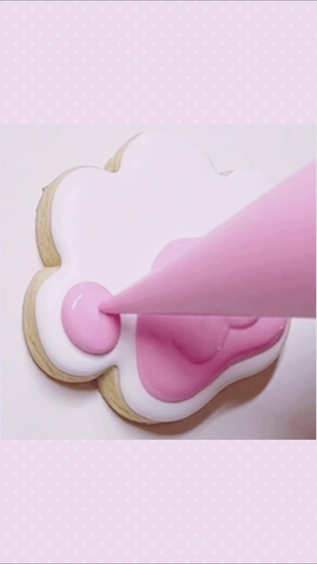 @ֹ ωყᥒᥒᥱ 𓂅 ̼