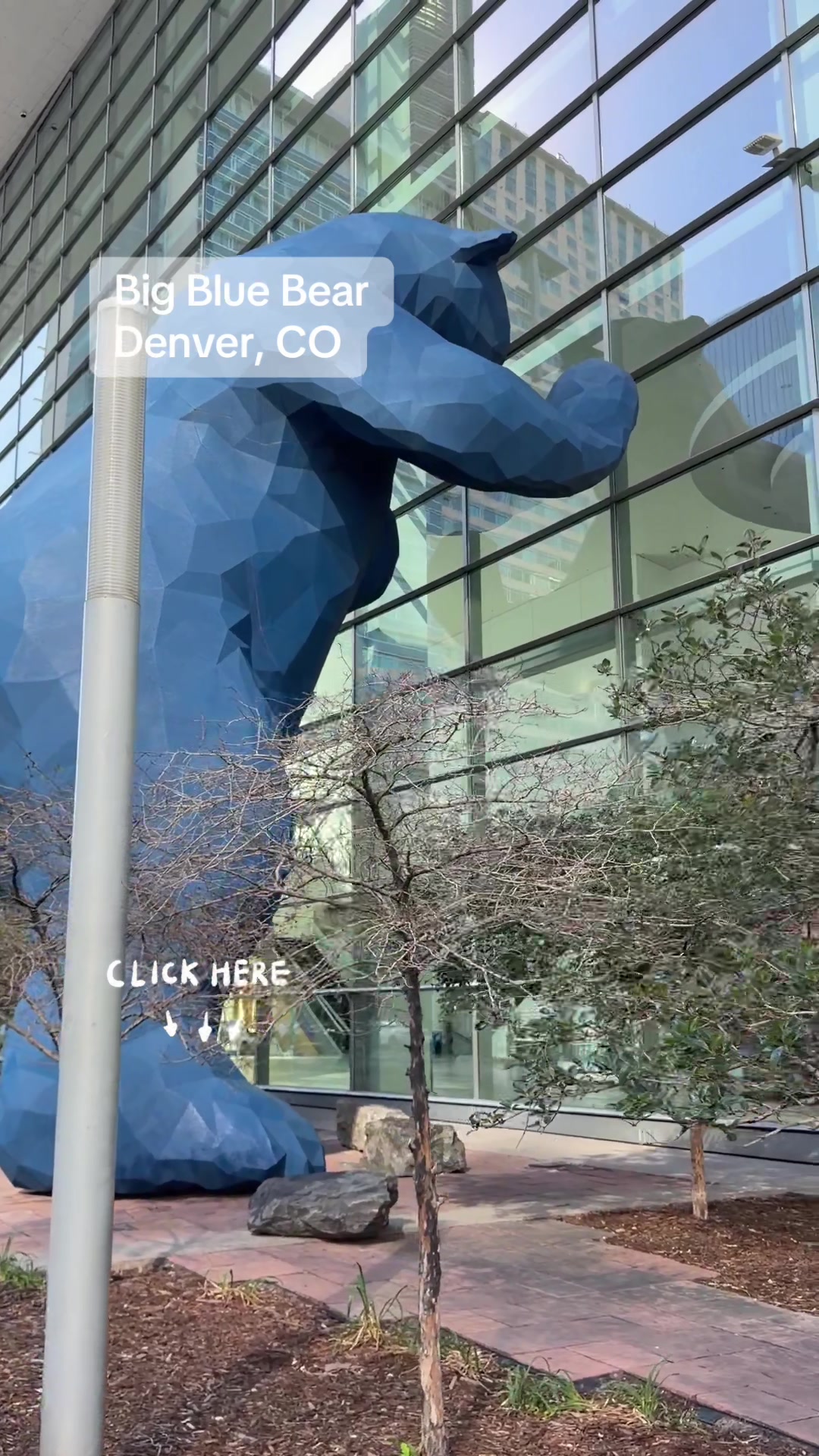 @Colorado Business Finder