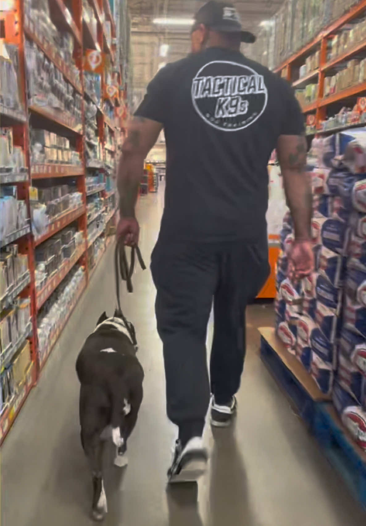 @Tactical K9s Dog Training