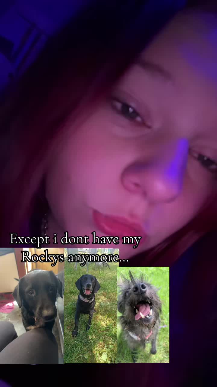 @avviedonepimpedmeout