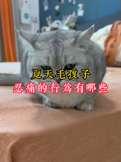 @catology