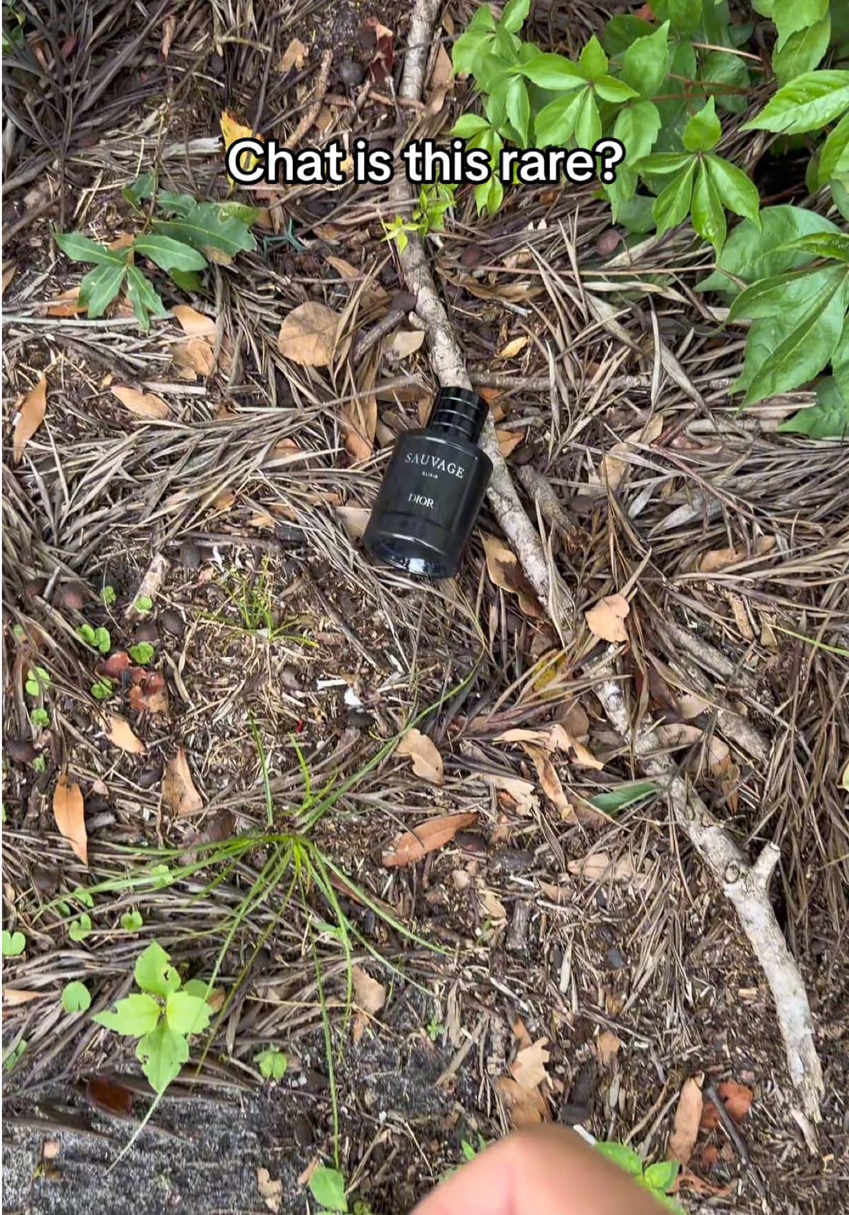 @AP SPRAYS