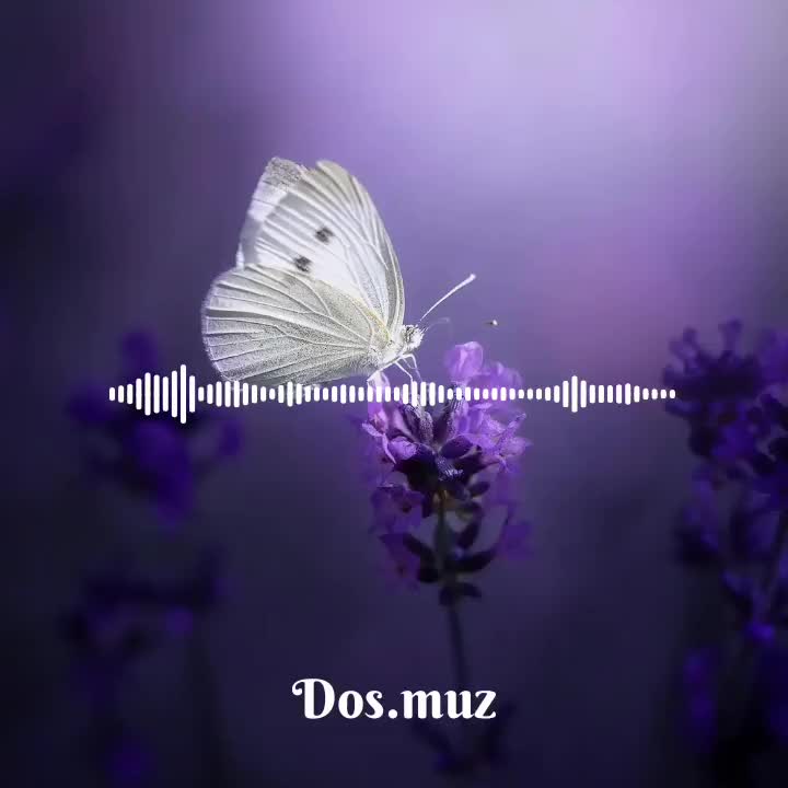 @𝄞𝐌𝐔𝐒𝐈𝐂𝄞