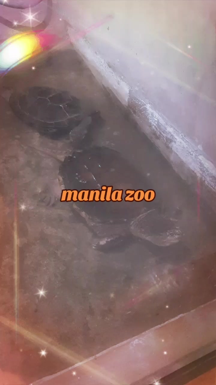@Marlon Deguzman🇵🇭