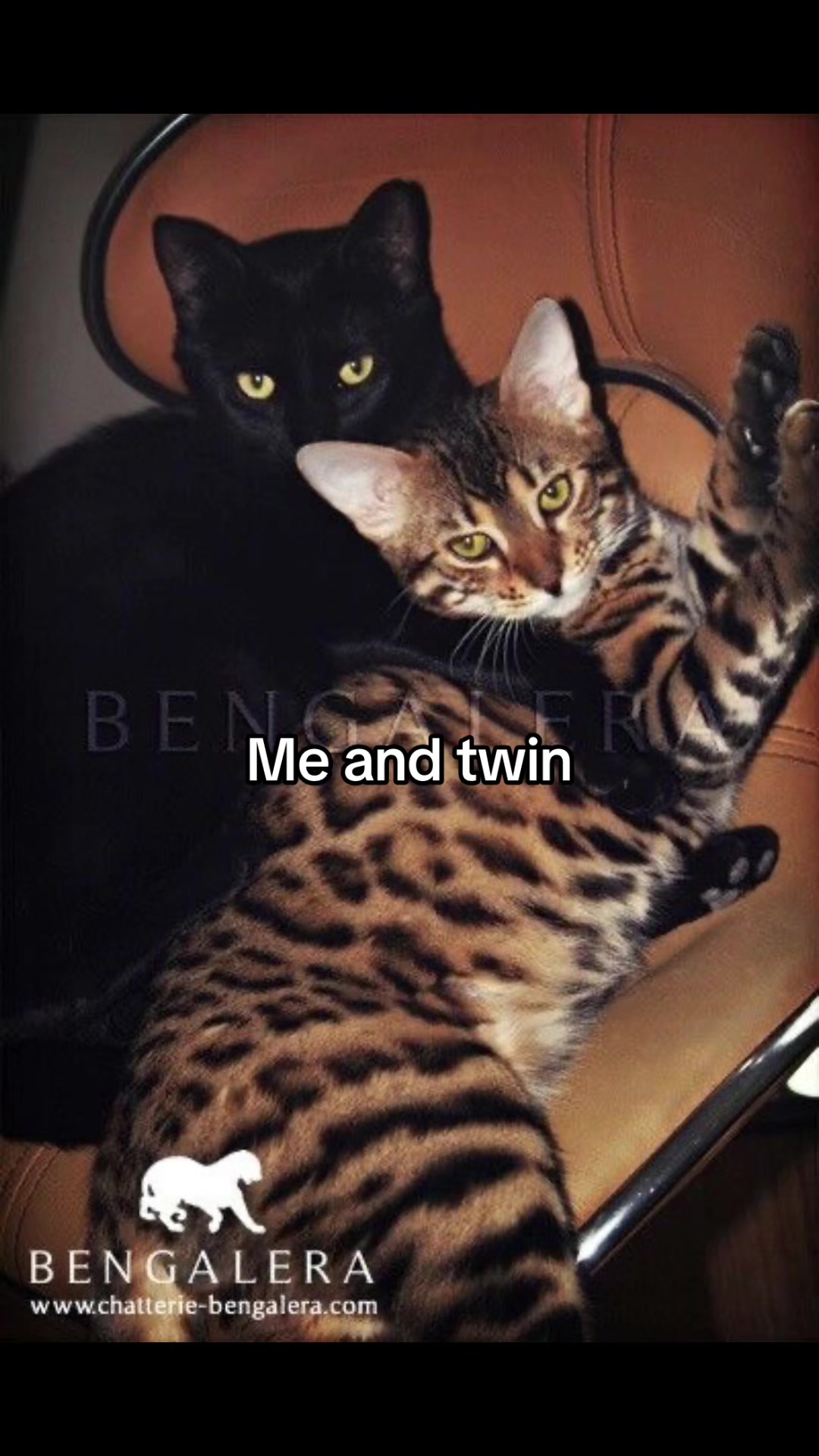 @Дива