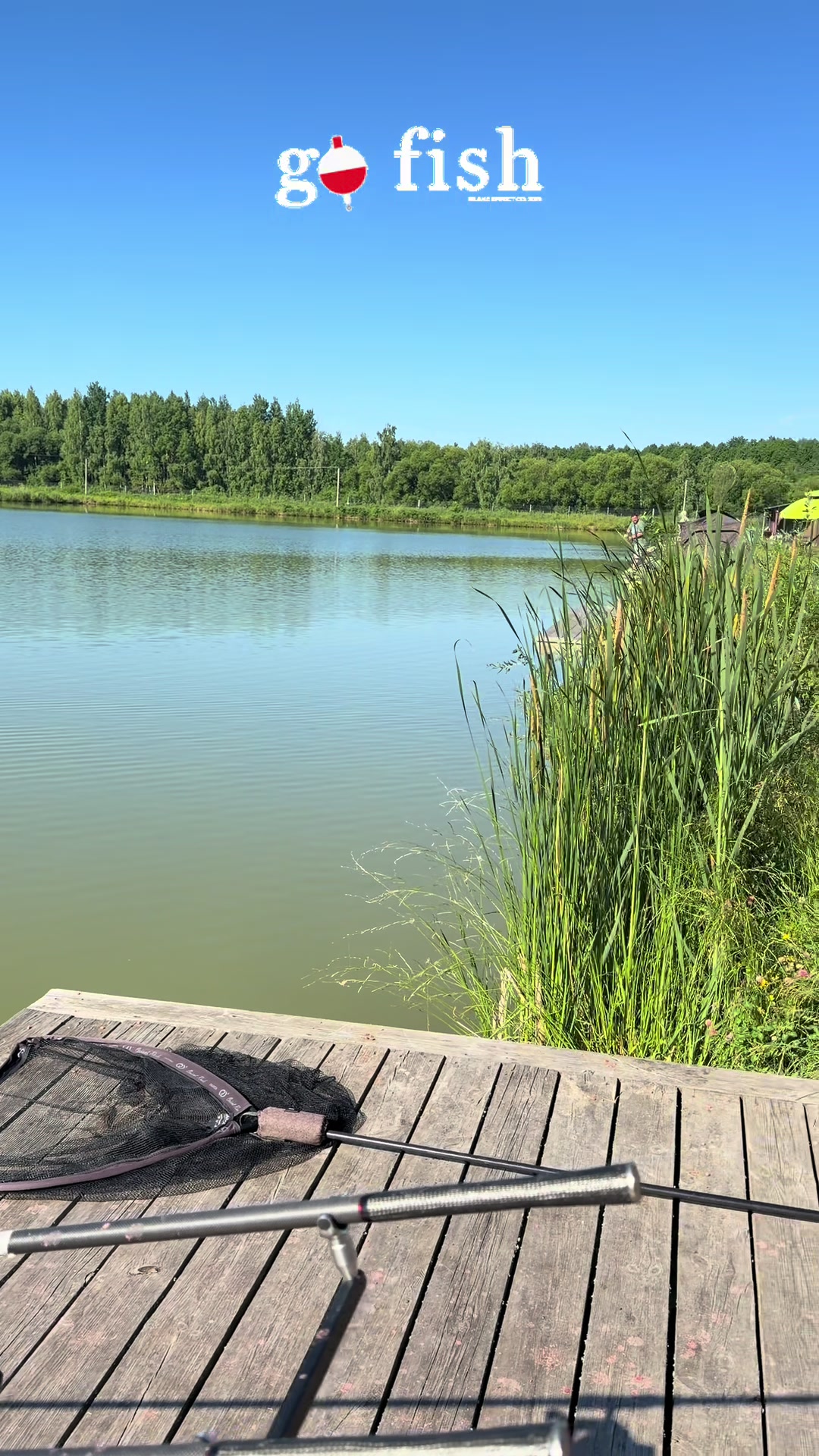 @Stepa Arsen  Carp Rom