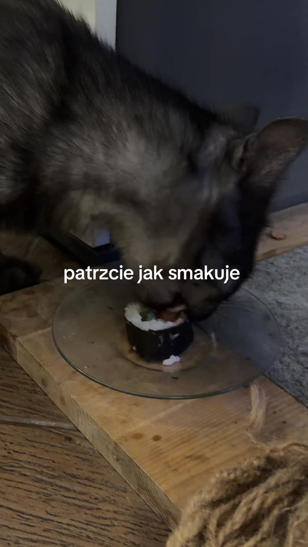 @ig:jkrysiaaak