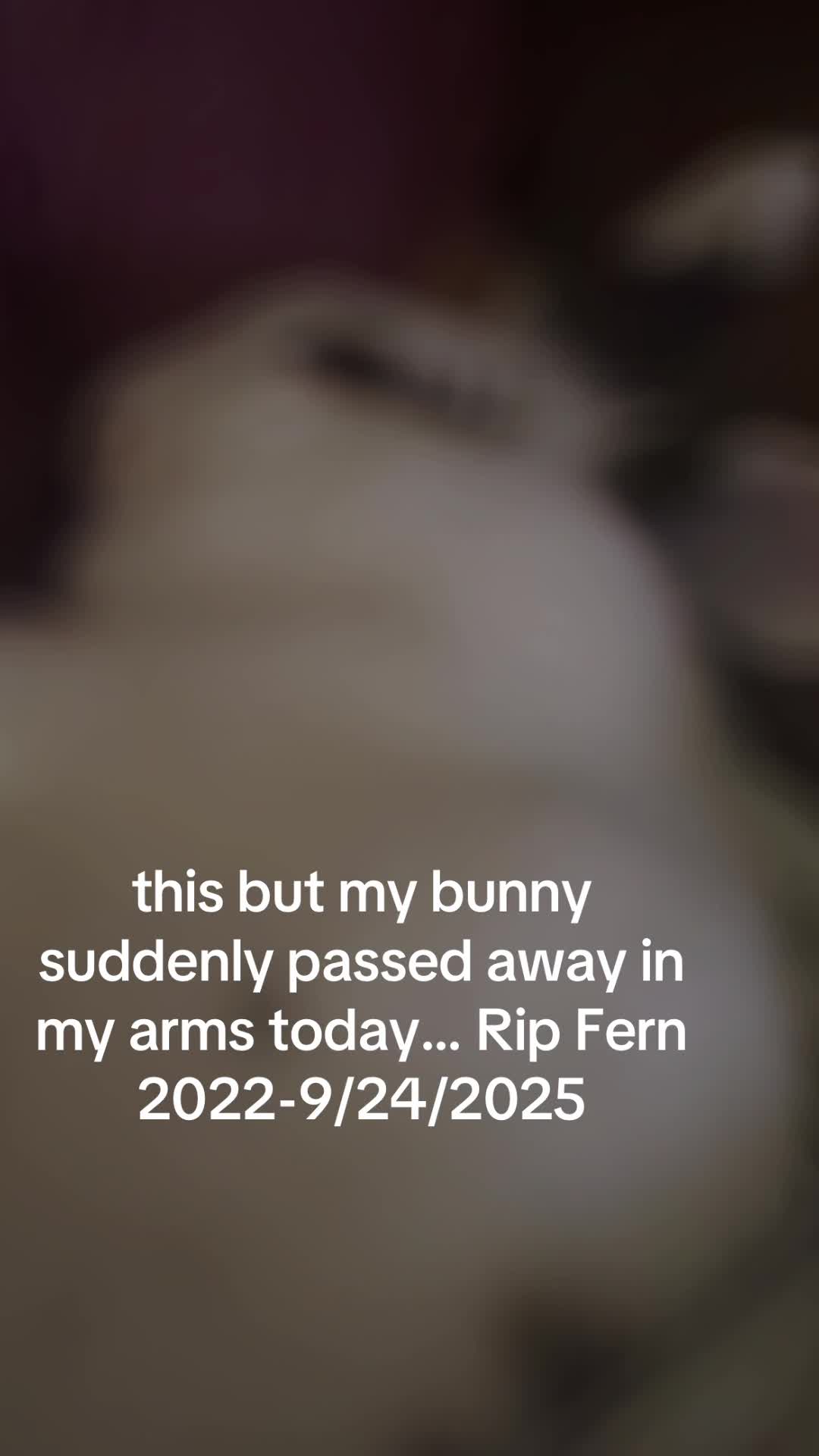 @thebuffunicorn