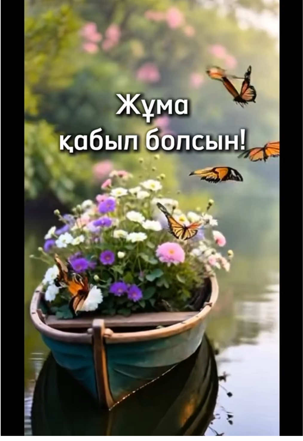 @aray_dinasil