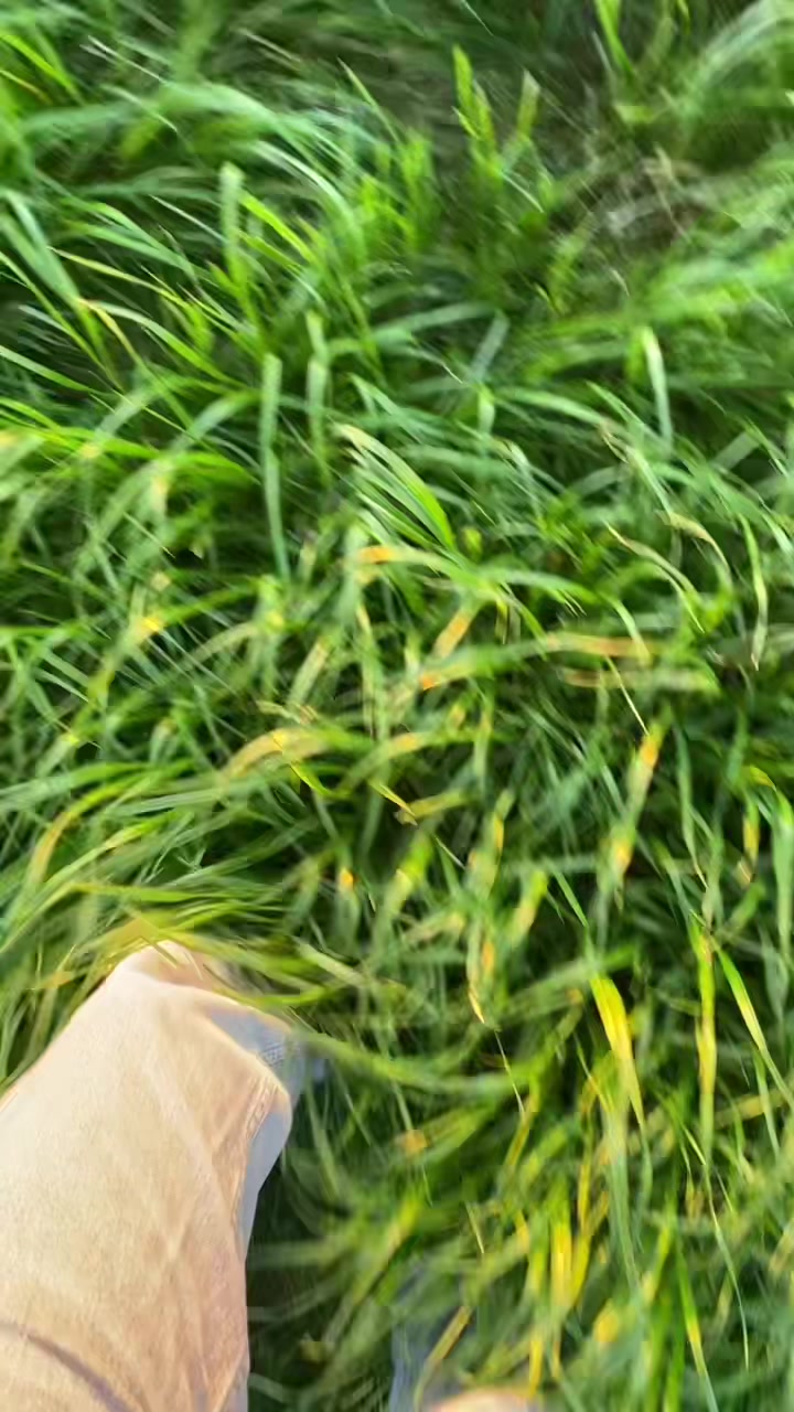 @?
