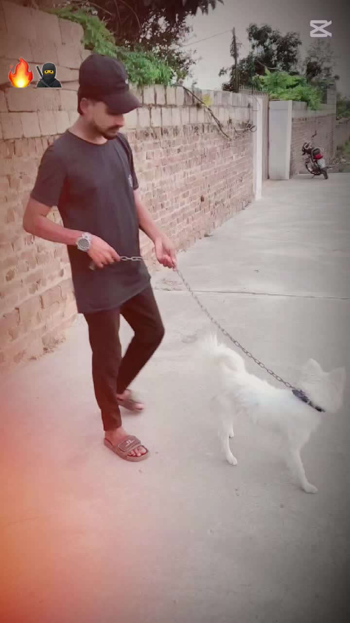 @MĆŚ_đđđđđ đźđŤ´đť