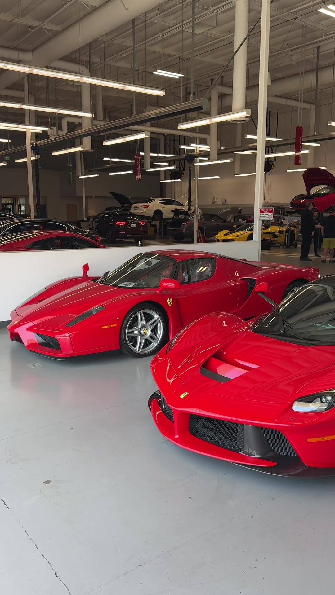 @sd__cars
