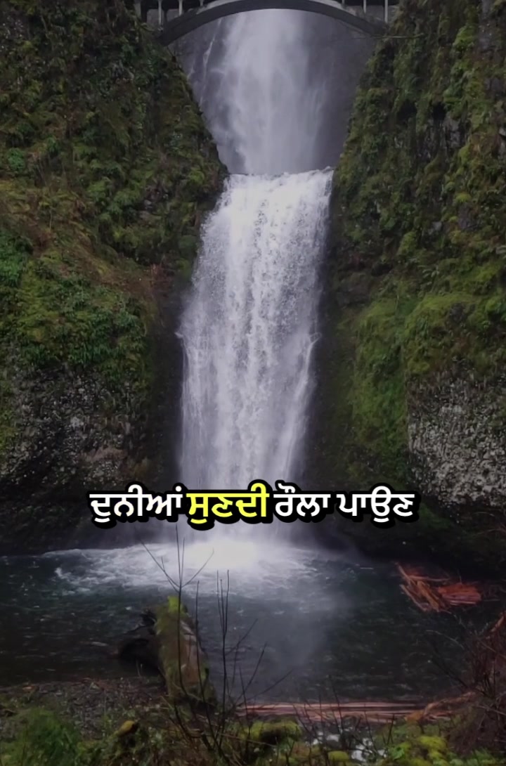 @Harjot Singh