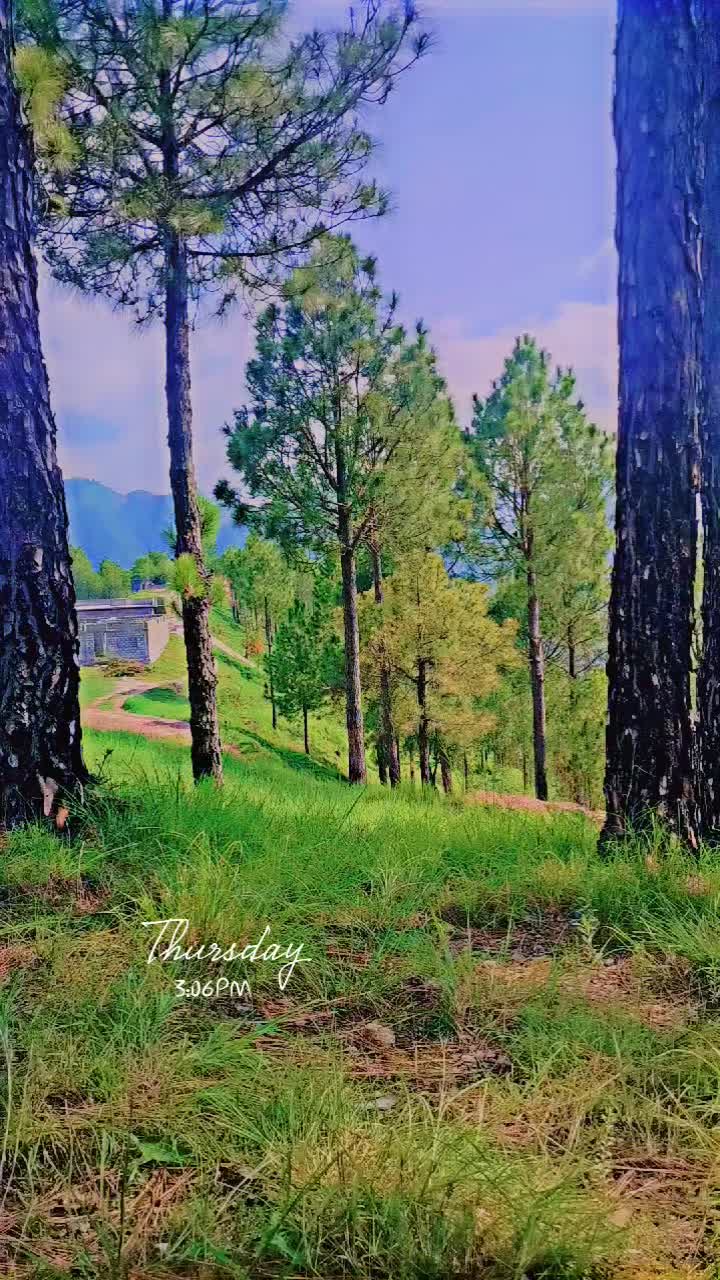 @saqlainqureshi