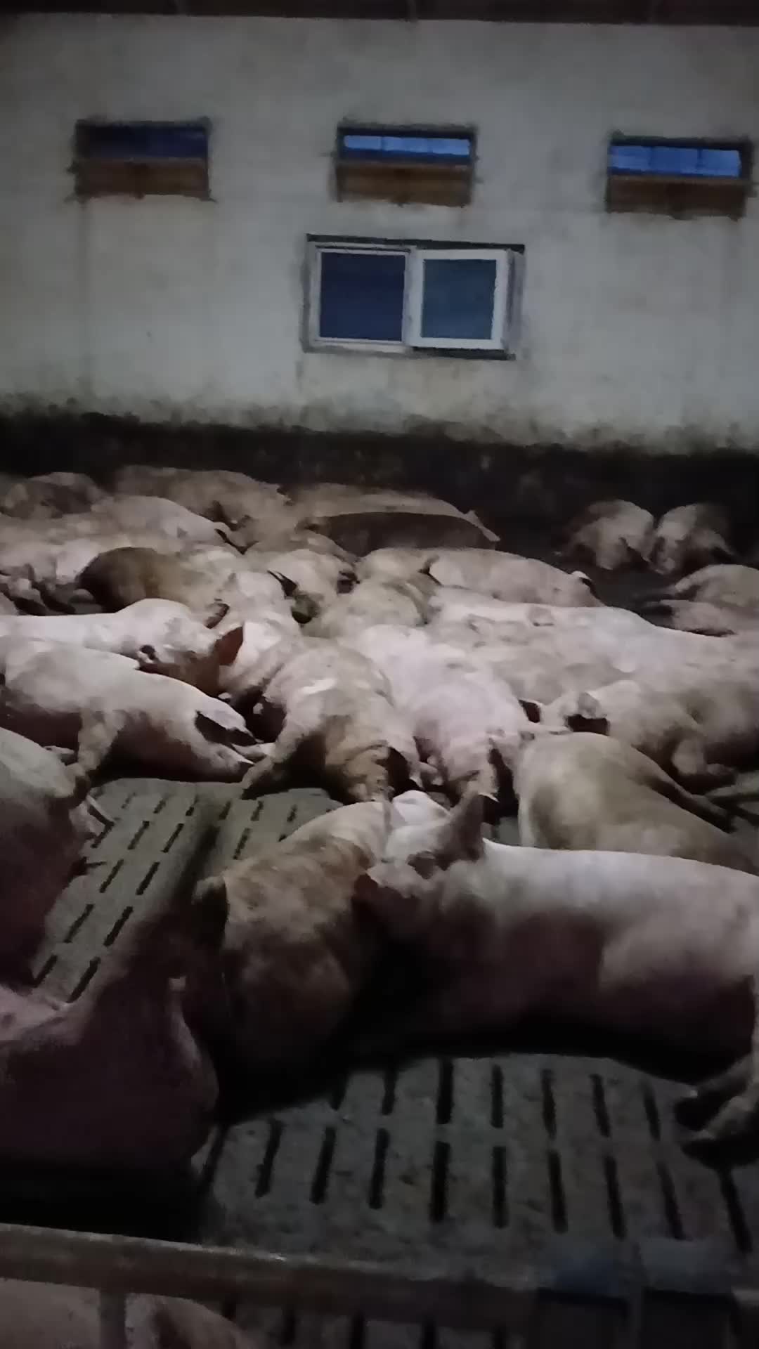 @Тома