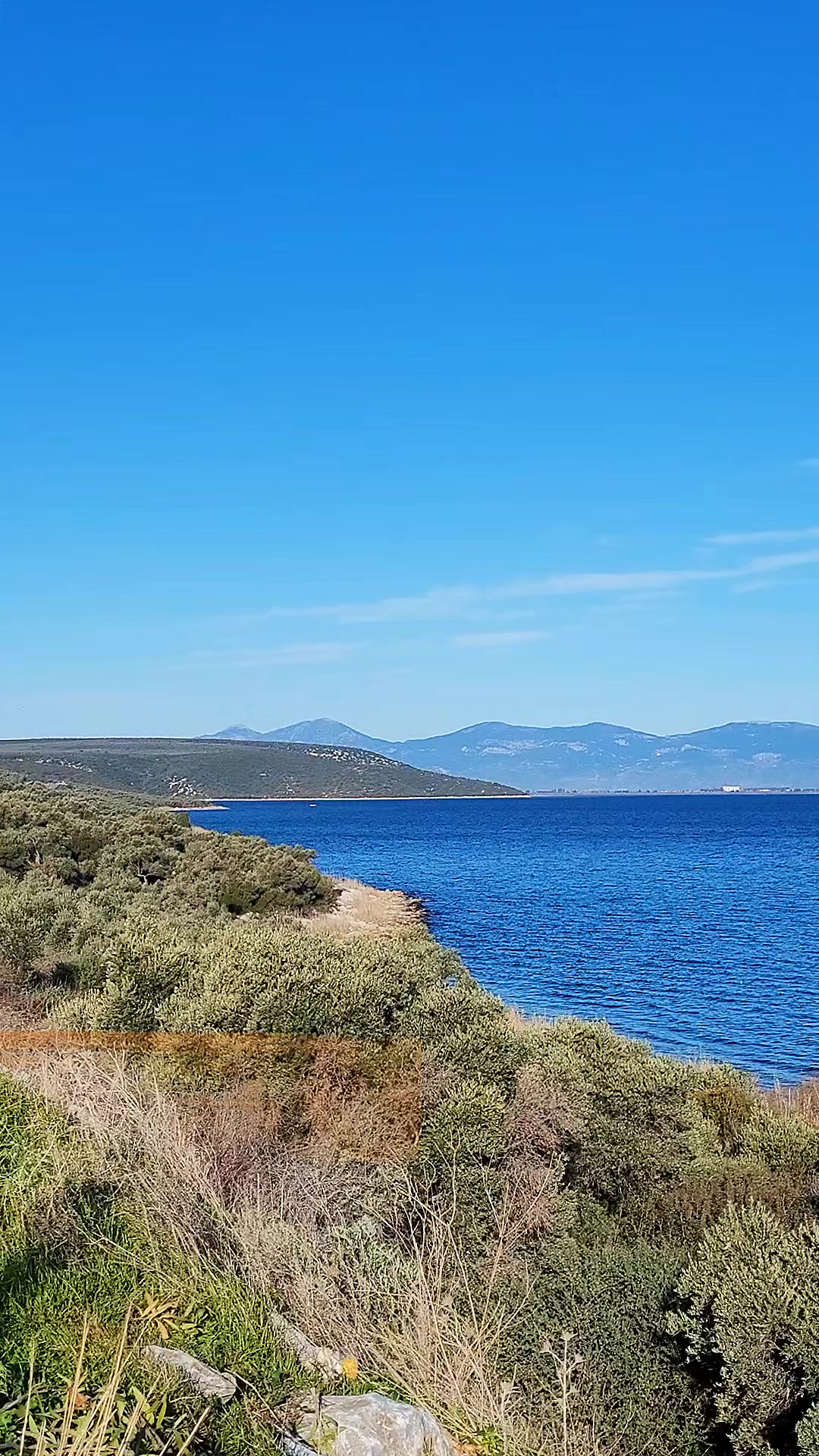 @M.SLN kod adı 007