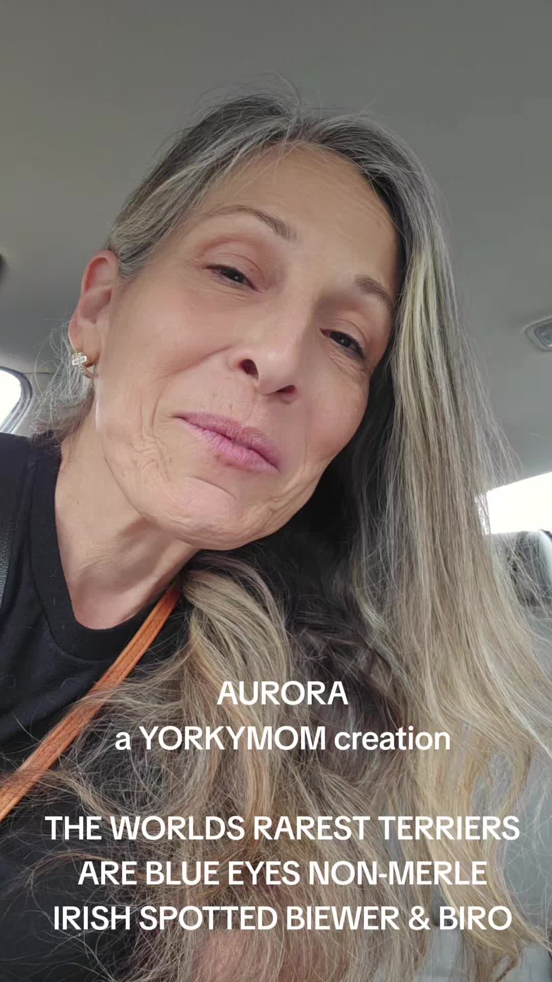 @theYorkymom