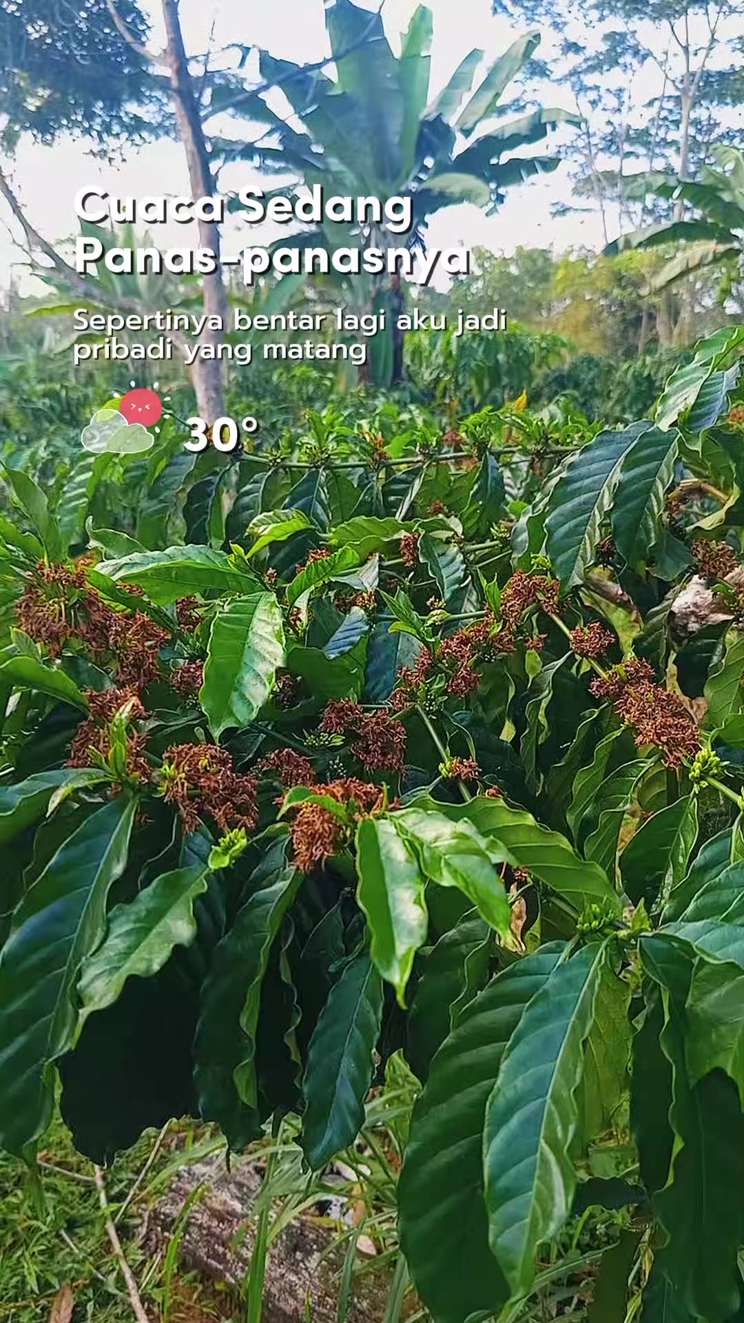 @Pejalan Sunyi