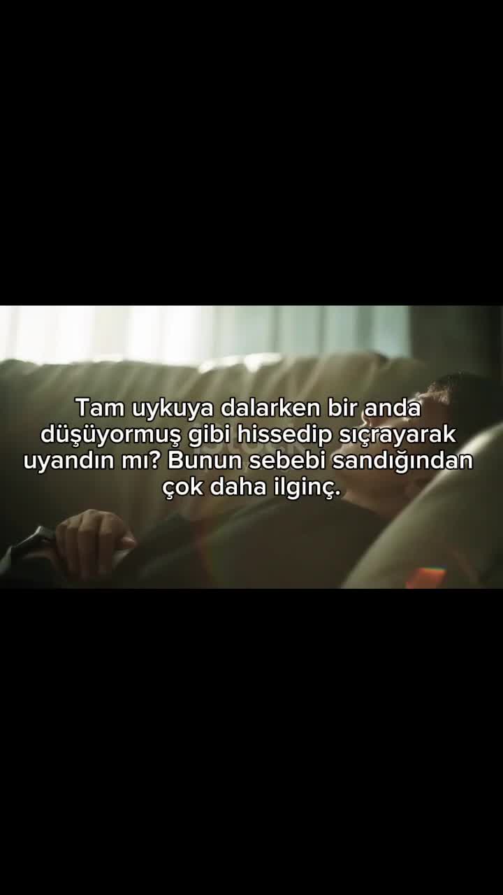 @Anatomi
