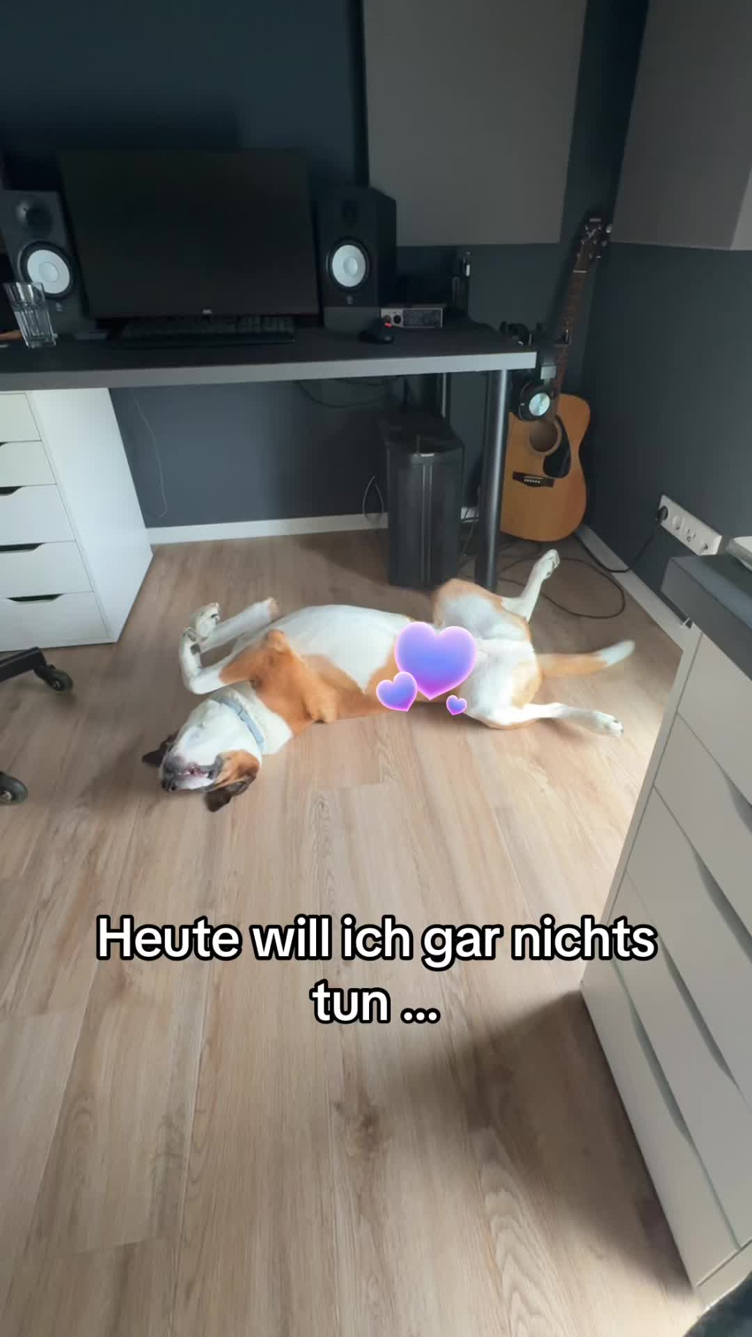 @Herr Dexti