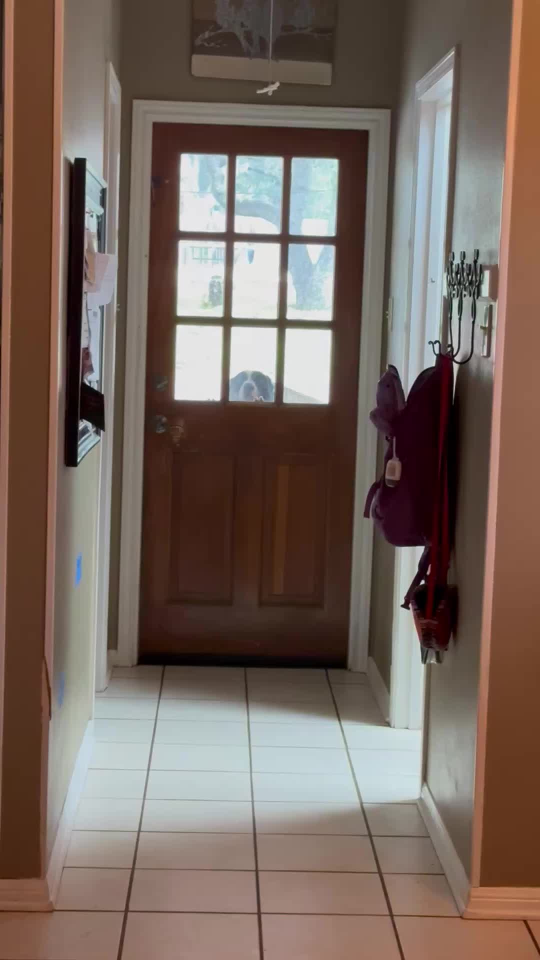 @Mel