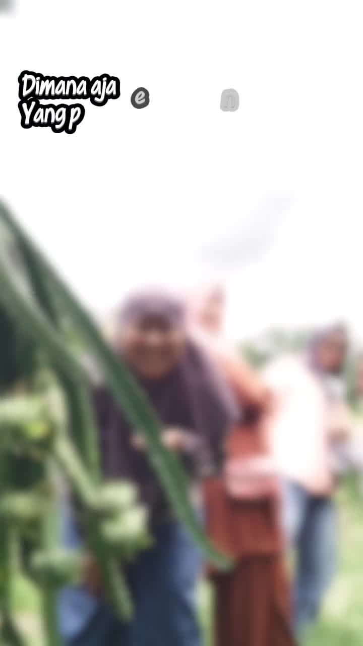 @Rahayu ayu