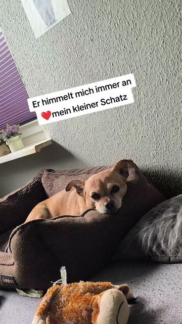 @❤️Kathi❤️Milow🐕❤️