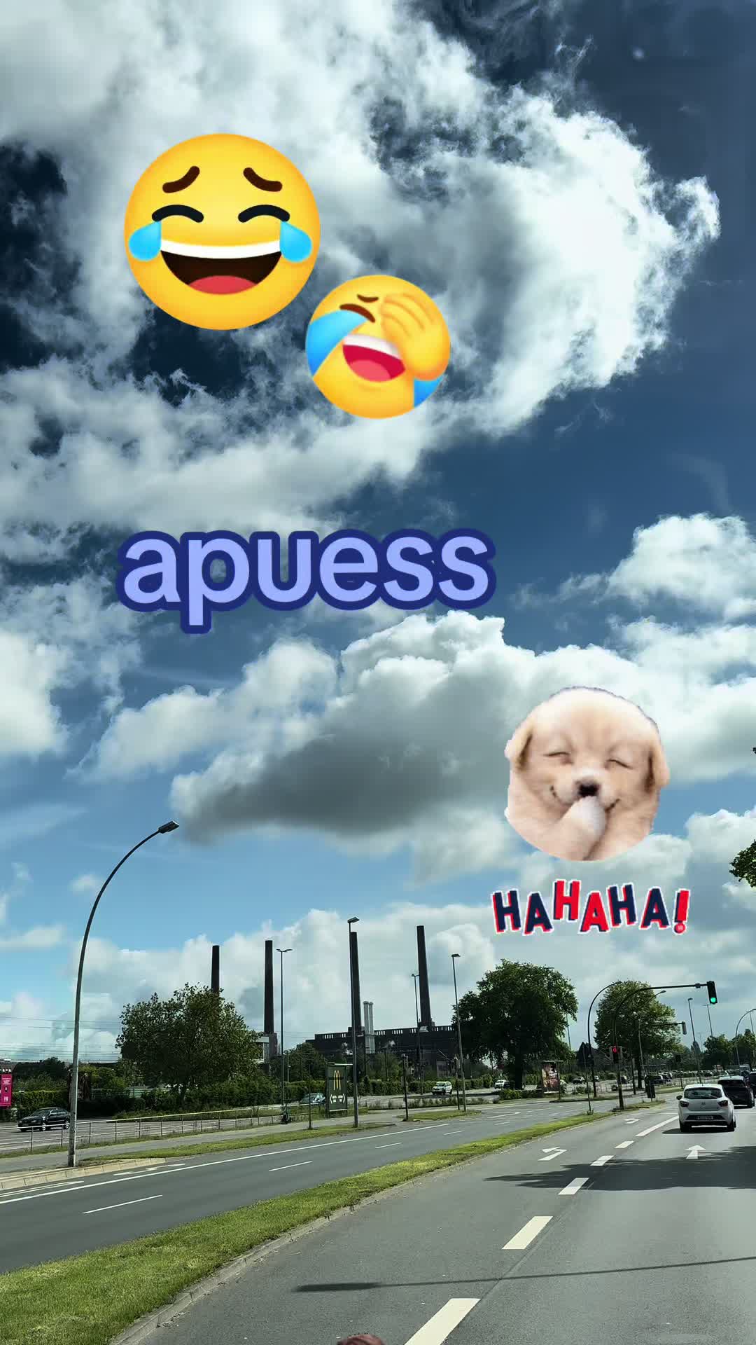 @Carina 💕🥰💕