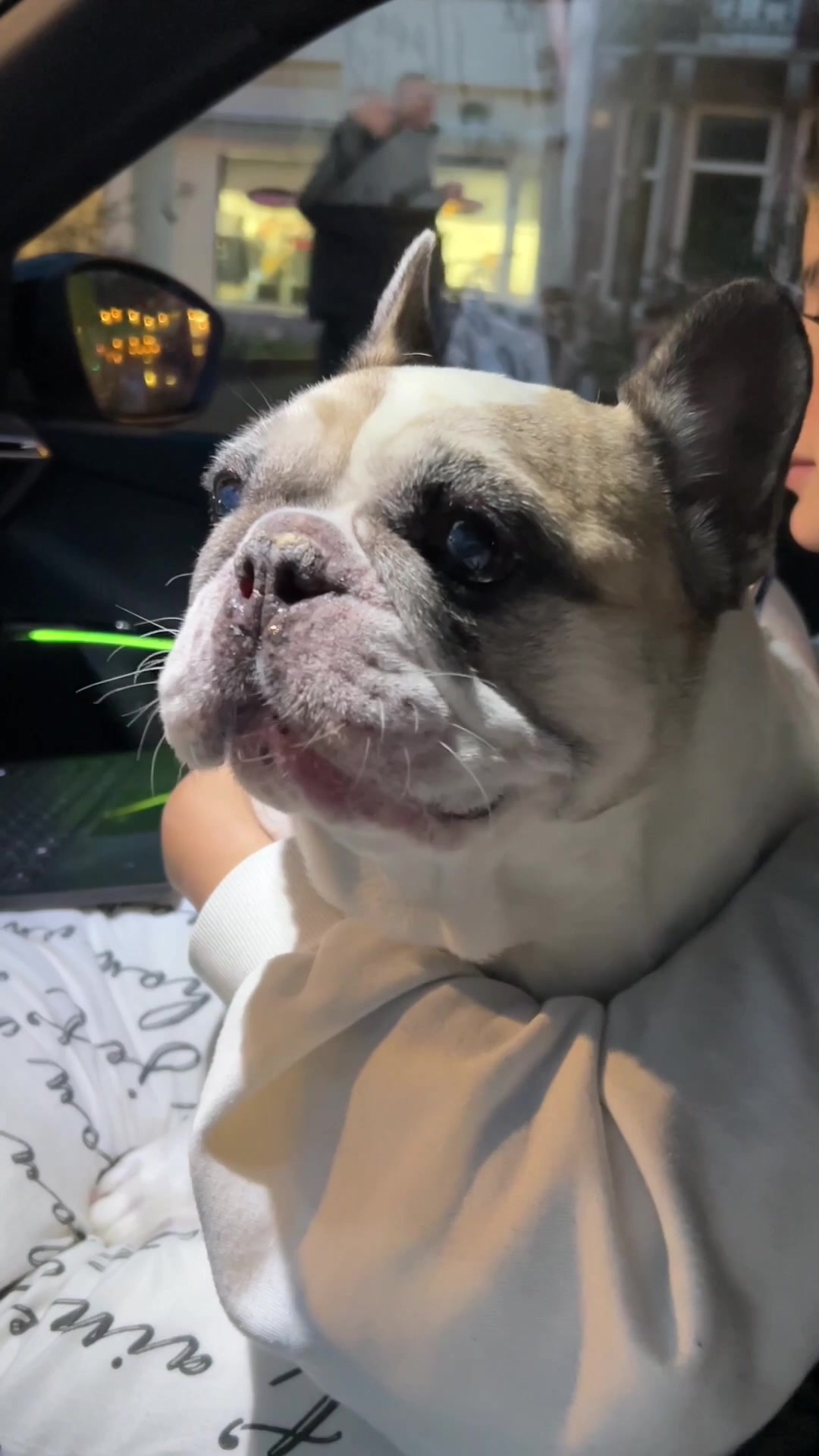 @Sunny 🐶