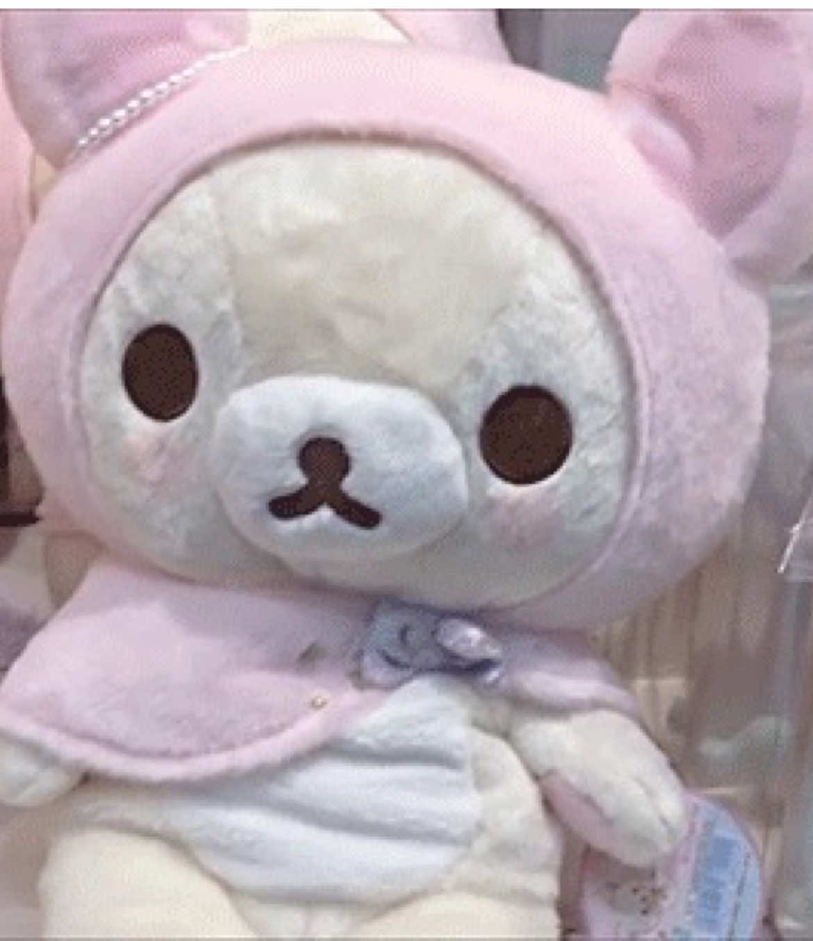 @Ი𐑼 𐐼lbert 𓈒 ❤︎ ⑅ 🎀