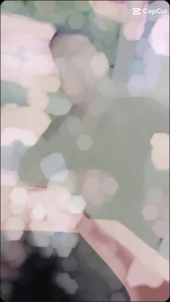 @Ali_rajpoot9