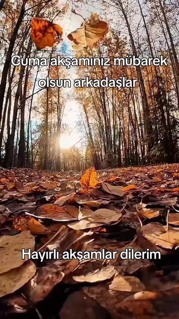 @BİR SERÇENİN GÖZYAŞ🕊️🕊️🕊️