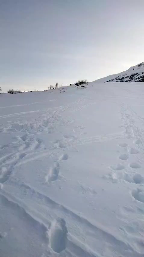 @Полина Шелестовская