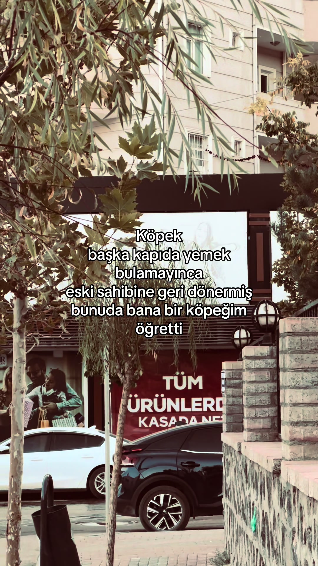 @𝑆.𝐵