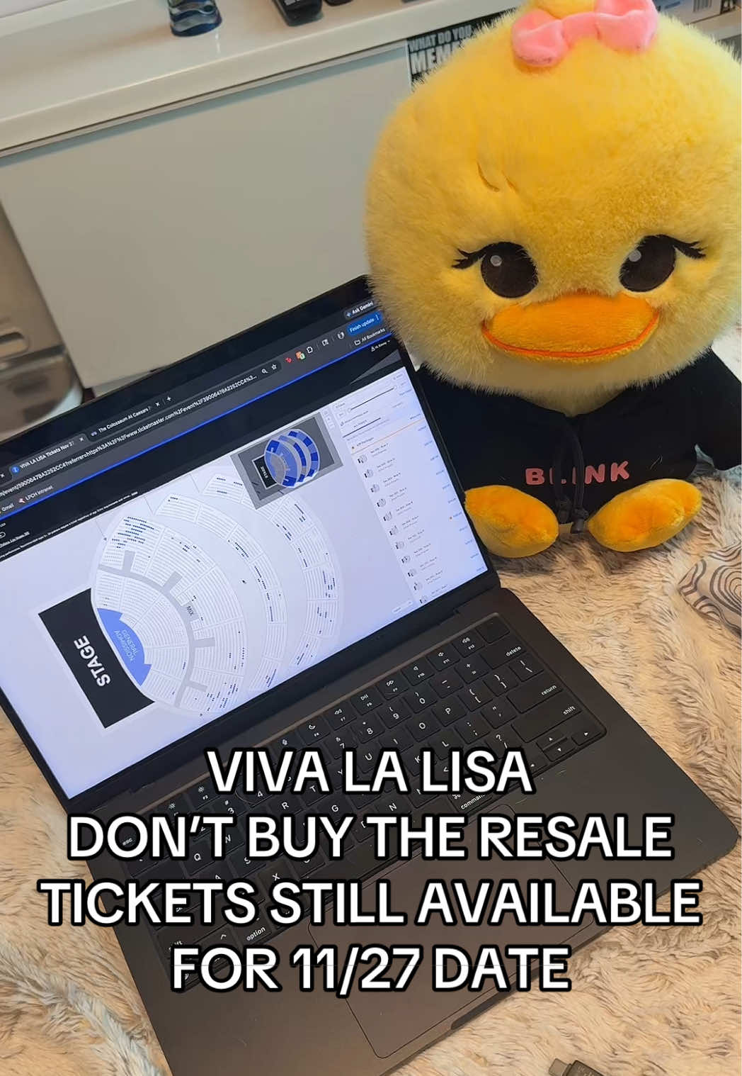@kimmy 🐣