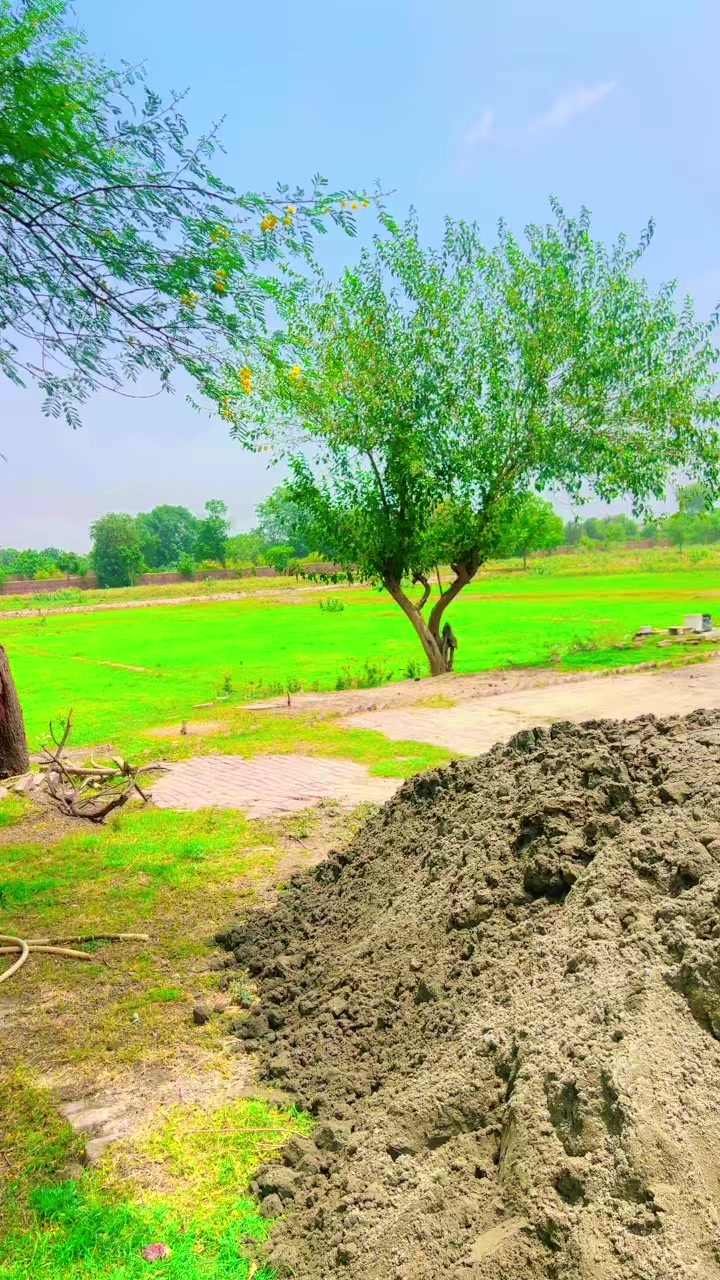 @M. Farooq Khokhar