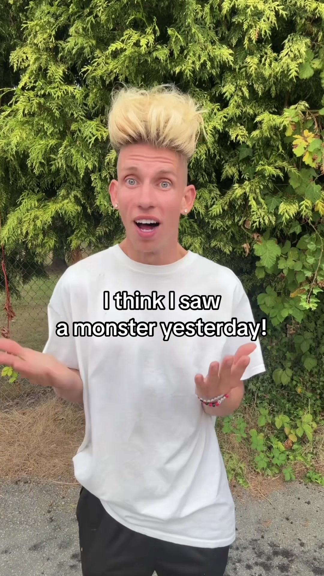 @vorostwins