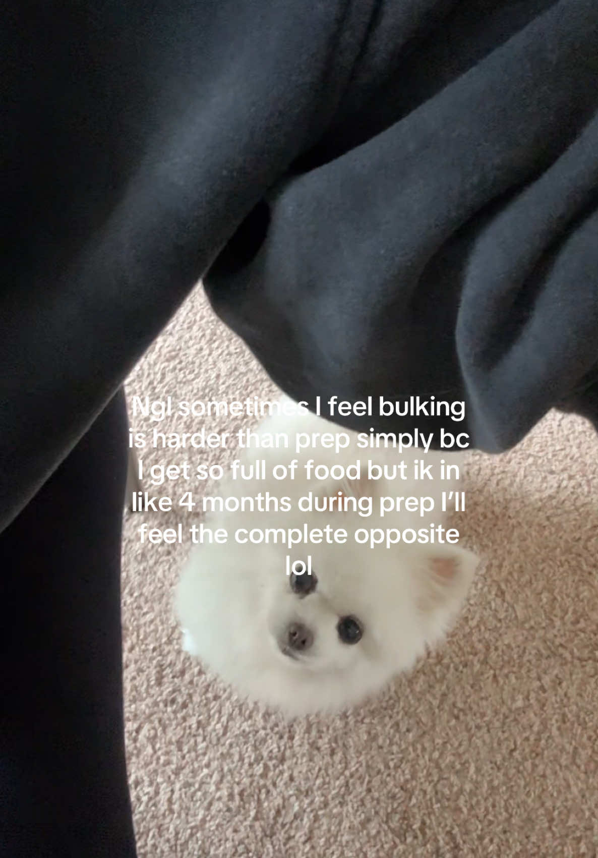 @H ★ L E Y