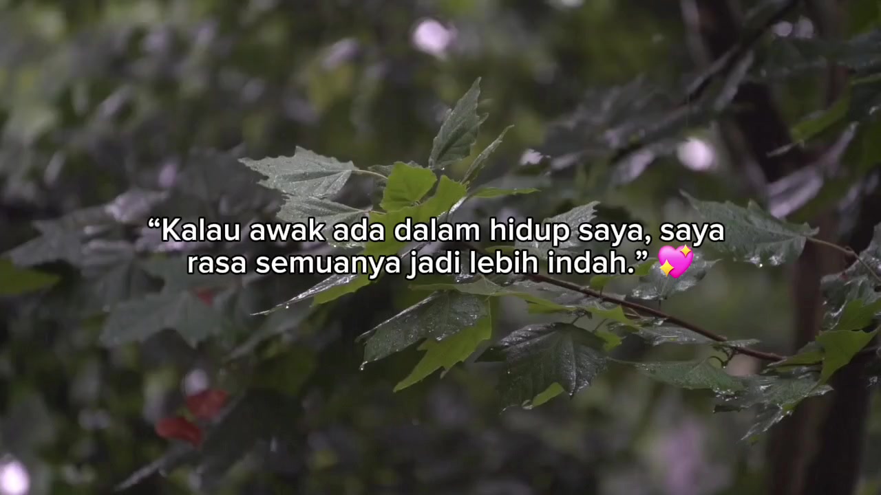@Amjad