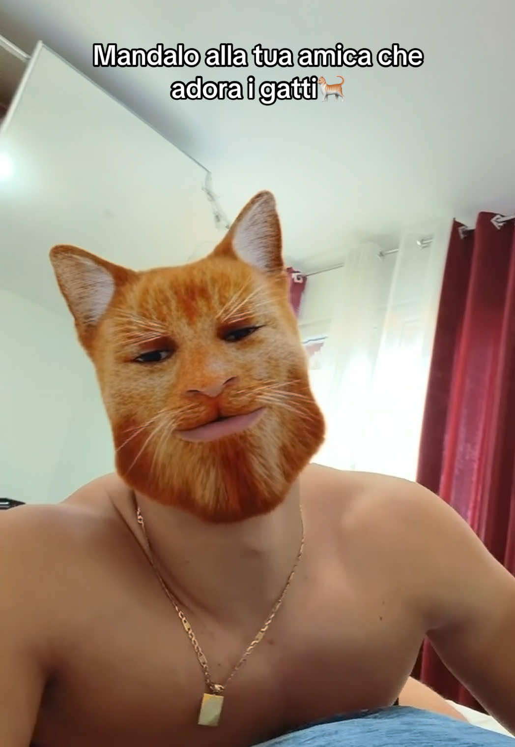 @kurti_alessandro