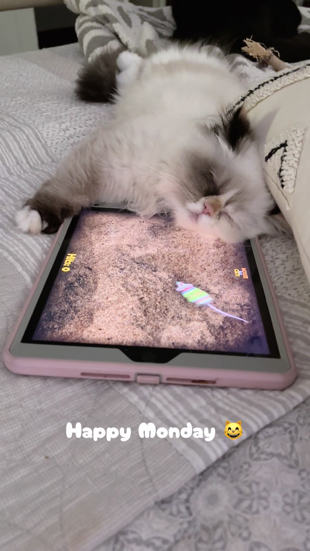 @𓃠Melissa’s10Fluffs𓃠