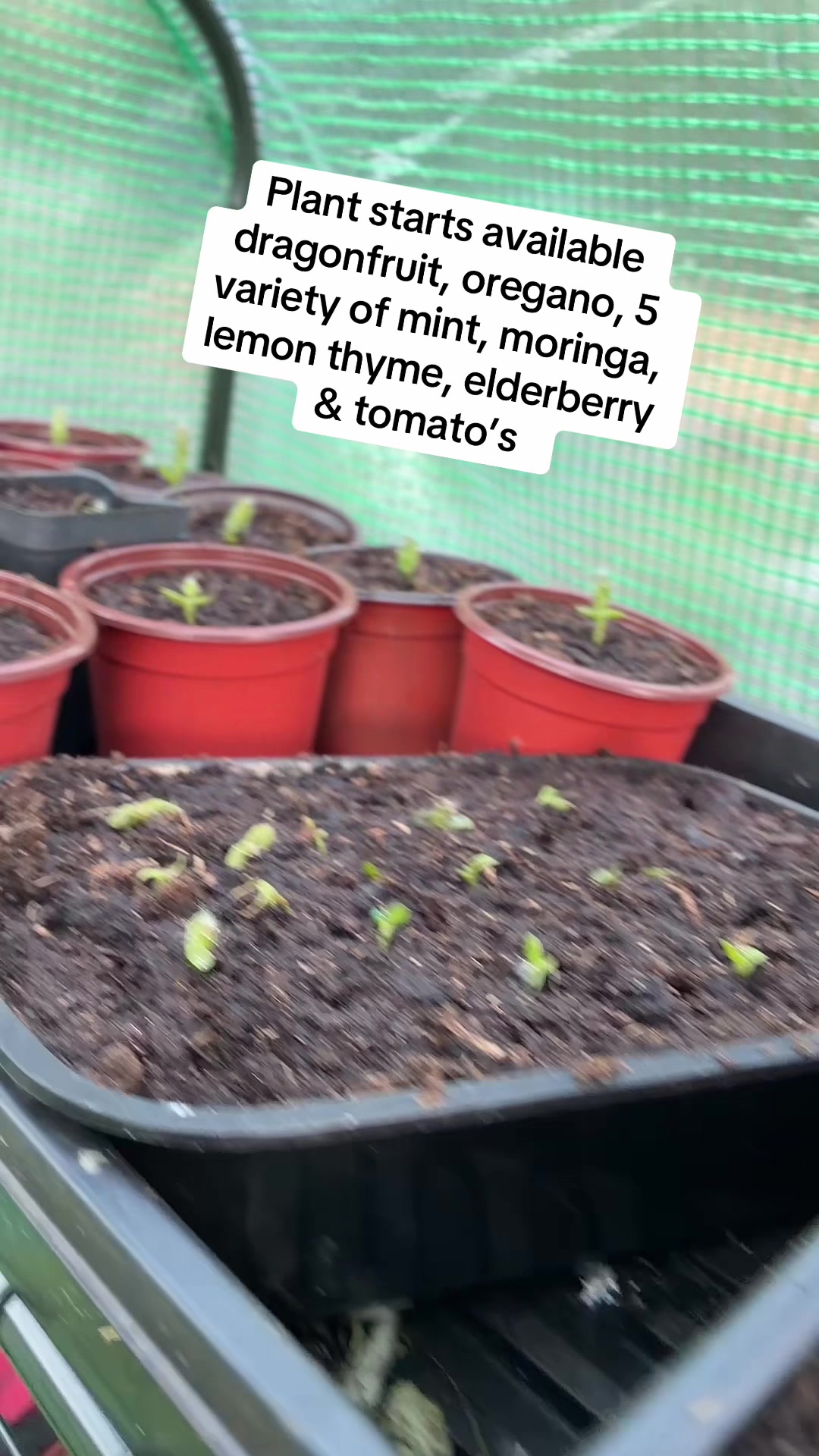 @gobigadventuresfarm